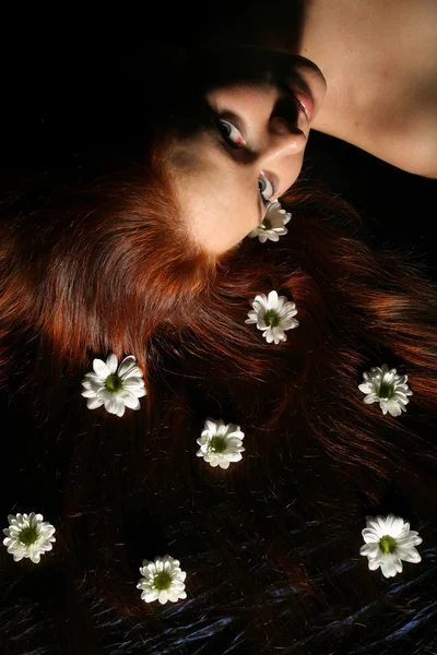 Haar weiße Blüten — Stockfoto