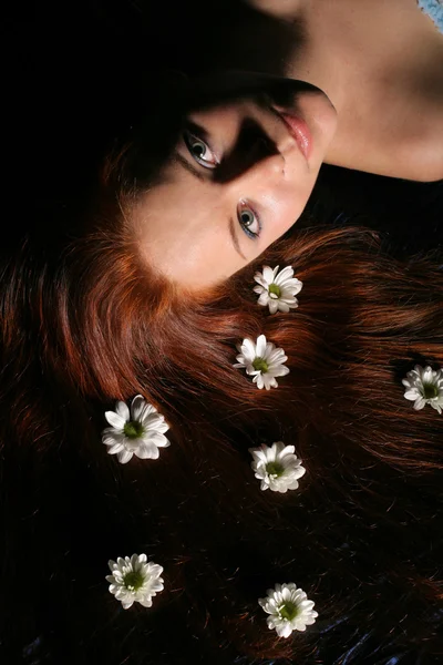 Beyaz saç çiçekleri — Stok fotoğraf