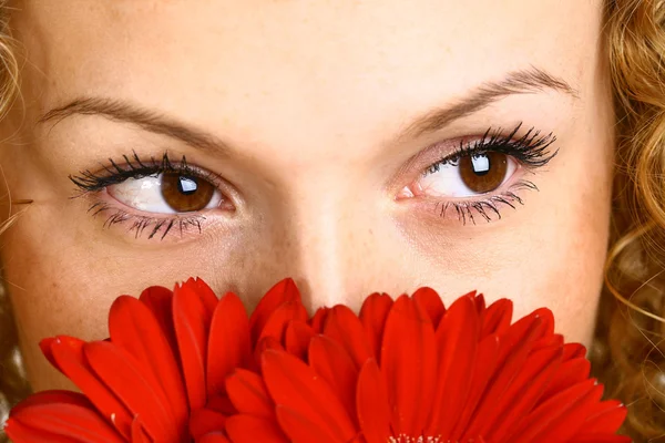 Červená květina oko — Stock fotografie