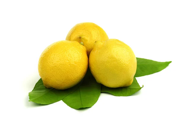 Limoni su bianco — Foto Stock