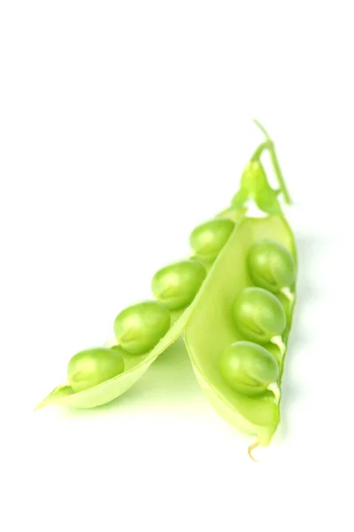 在白色上隔绝的豌豆 — 图库照片