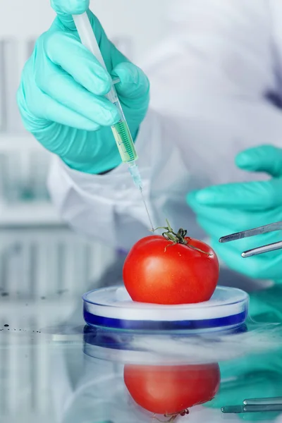 Alteração do ADN de tomate — Fotografia de Stock