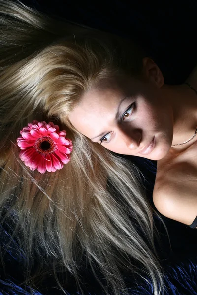 핑크 머리 꽃 — 스톡 사진