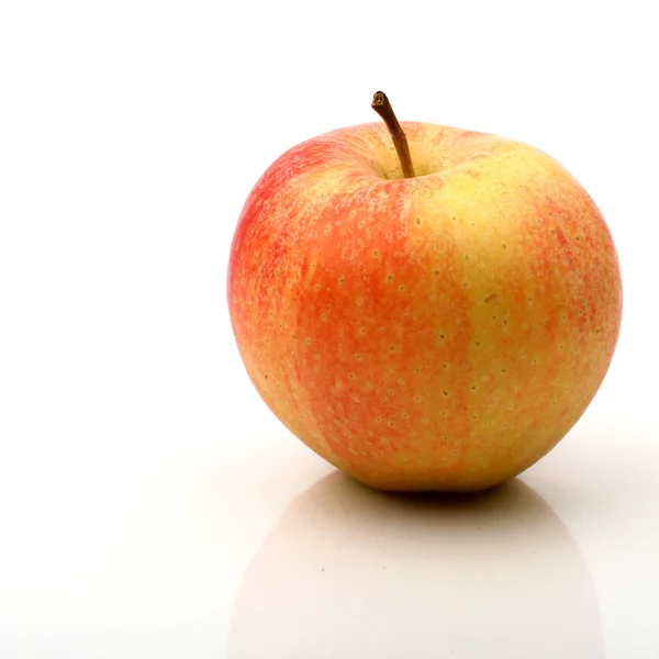 1 つのリンゴ — ストック写真