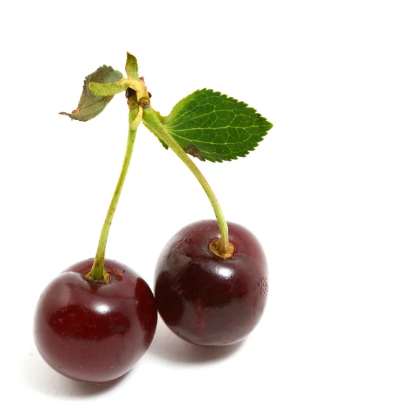 Sweet cherry — Stockfoto