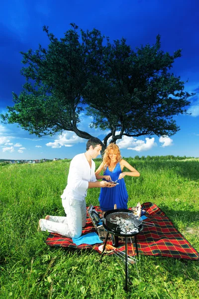 Picnic. — Foto de Stock