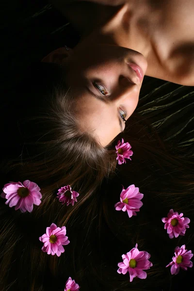 Pembe saç çiçekleri — Stok fotoğraf