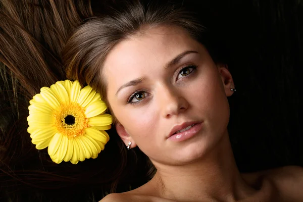 Haar gele bloemen — Stockfoto
