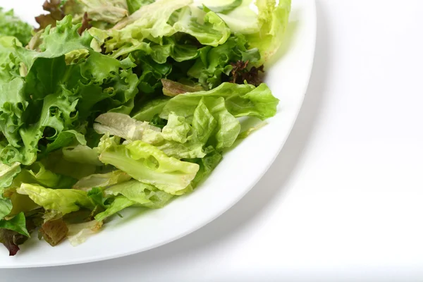 Salade — Stockfoto