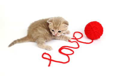 Love cat clipart