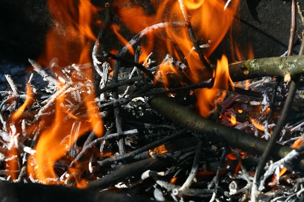 Φωτιά κάρβουνα — Φωτογραφία Αρχείου