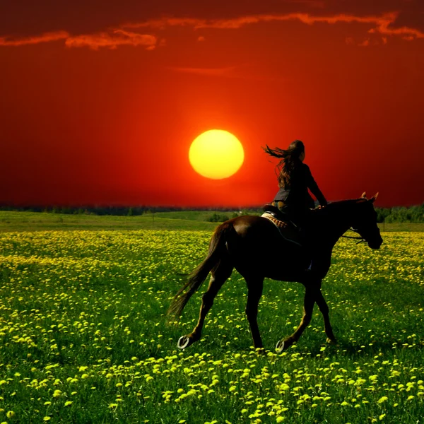 Cavaleiro de cavalo — Fotografia de Stock
