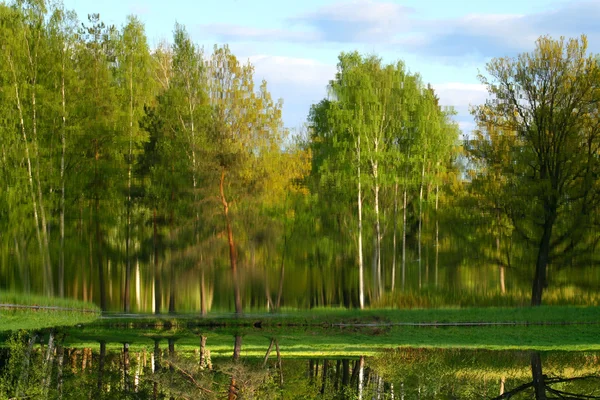 Lake weerspiegelen natuur landschap — Stockfoto