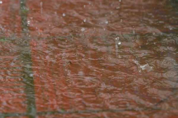 Açık yağmur — Stok fotoğraf