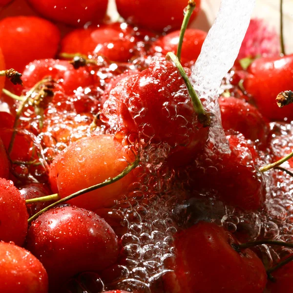 Sweet cherry under wet — Stok fotoğraf