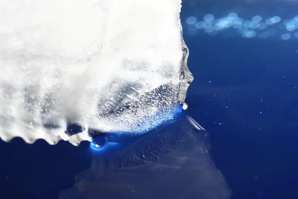 Su buz — Stok fotoğraf