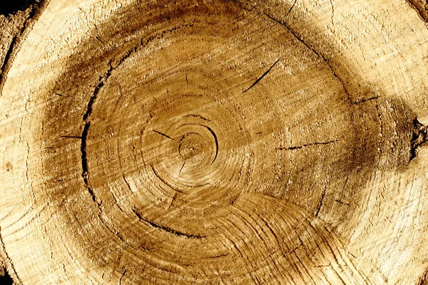 Hromadu dřeva — Stock fotografie