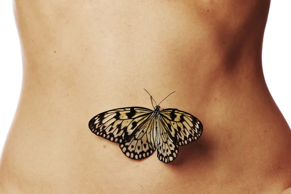 Papillons dans l'estomac — Photo