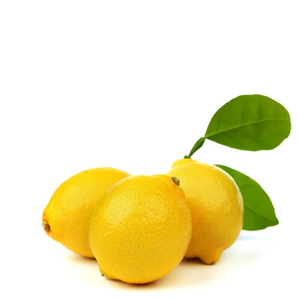 Cytryn na biały — Zdjęcie stockowe
