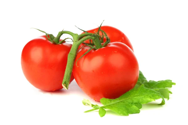 Tomater – stockfoto
