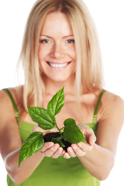 Plant in blonde hands — Stock Photo, Image