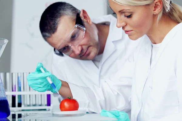 DNA de tomate — Fotografia de Stock