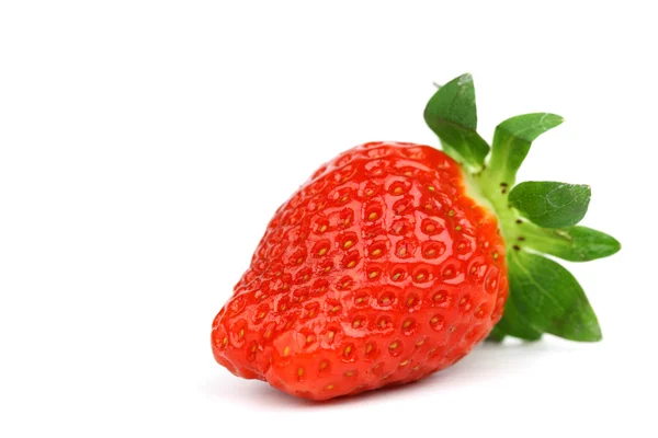 Eine Erdbeere — Stockfoto
