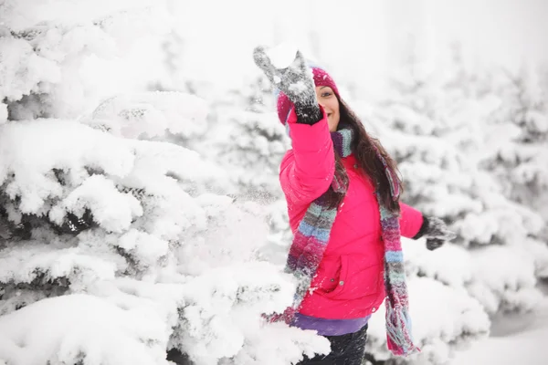 Зимова дівчина — стокове фото