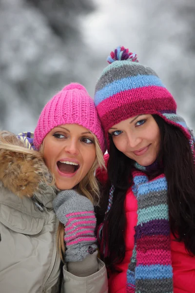 Mujeres de invierno —  Fotos de Stock