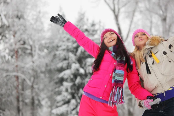 Winter vrouwen — Stockfoto