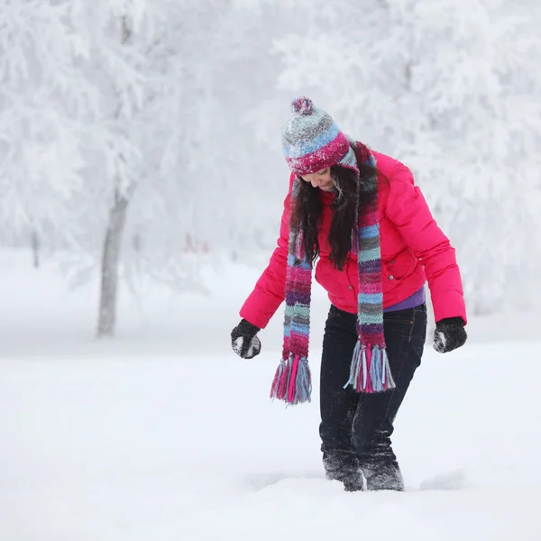 Mulheres de inverno — Fotografia de Stock