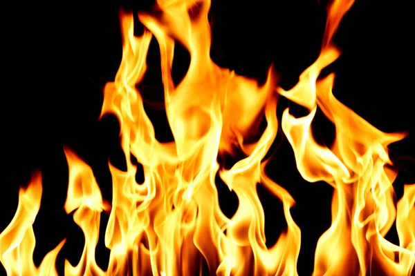 Eld flamma på nära håll — Stockfoto
