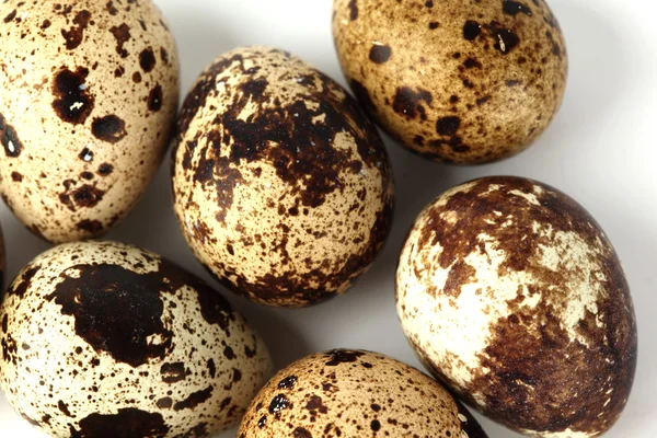 Quail egg background — Stock Photo, Image