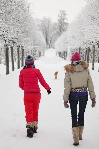 Vinter promenader — Stockfoto