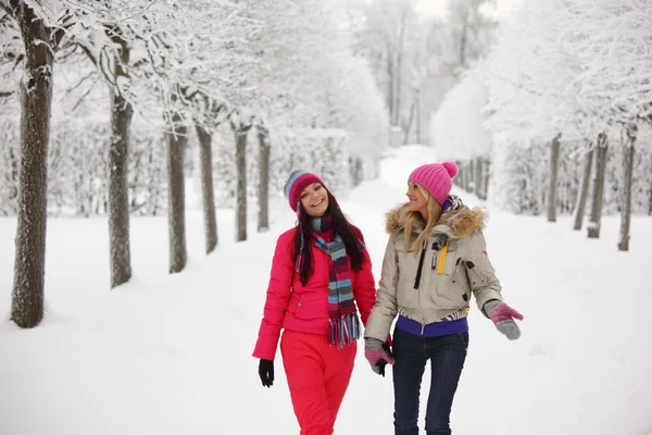Caminata de invierno — Foto de Stock
