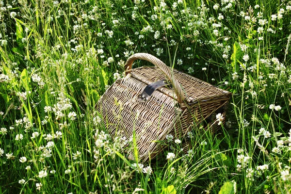 stock image Picnic basket