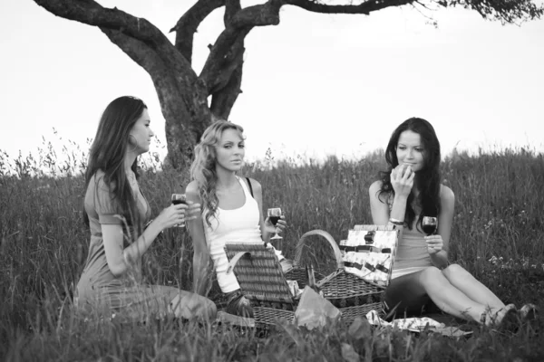 Přítelkyně na piknik — Stock fotografie