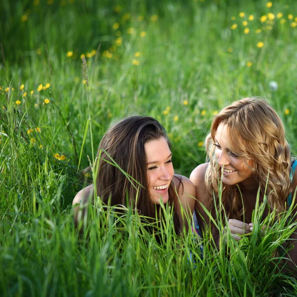 Girlfriends on grass — Stock Photo, Image