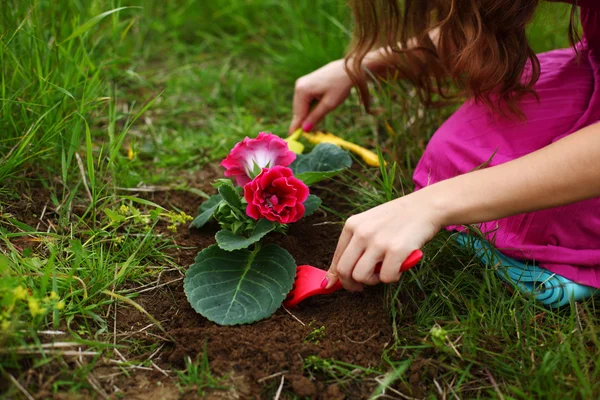 Mädchen wachsen Blume — Stockfoto