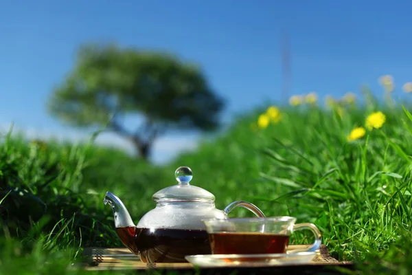 stock image Natural tea