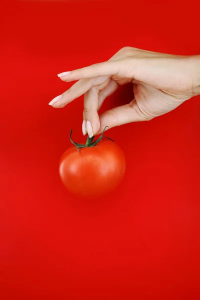 Tomato in woman hands — Stok fotoğraf