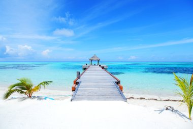 Resort maldivian houses in blue sea clipart