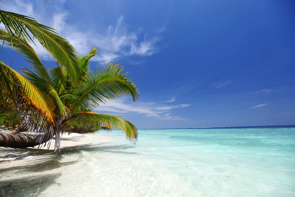 Tropical island — Stock Photo, Image