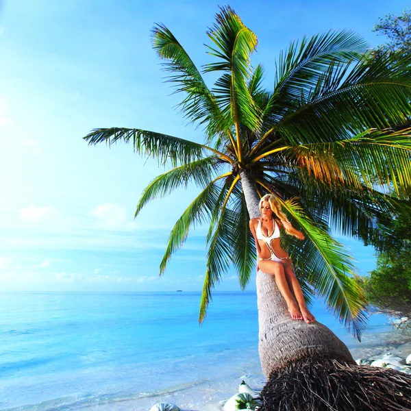 Kvinna på palm — Stockfoto