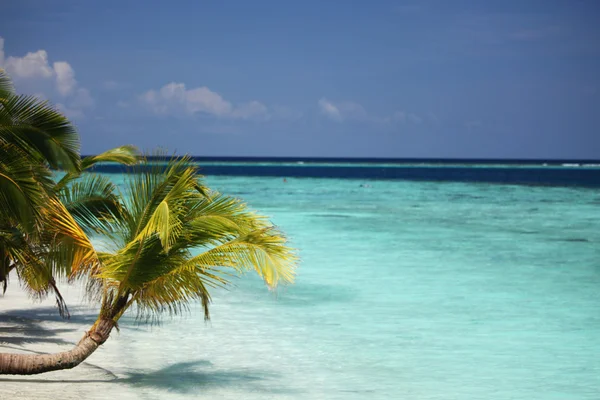 Tropical island Stock Photo
