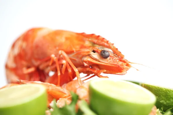 Shrimp background — Stock Photo, Image