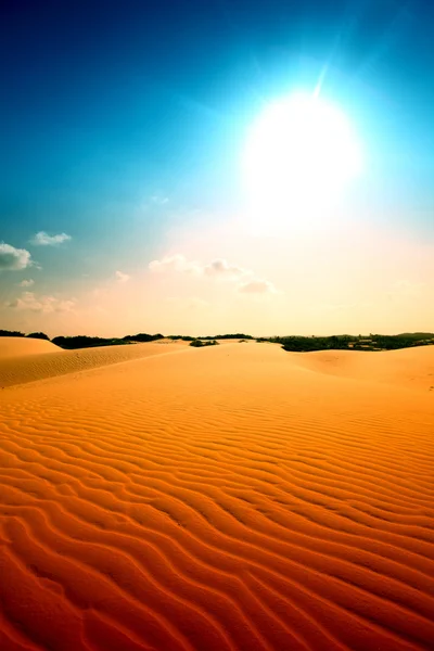 Ørken – stockfoto