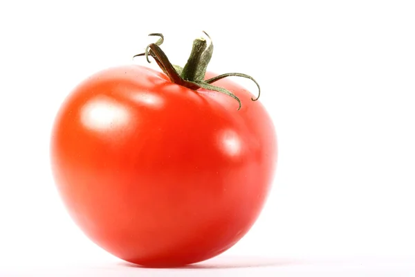 Изолированный помидор — стоковое фото