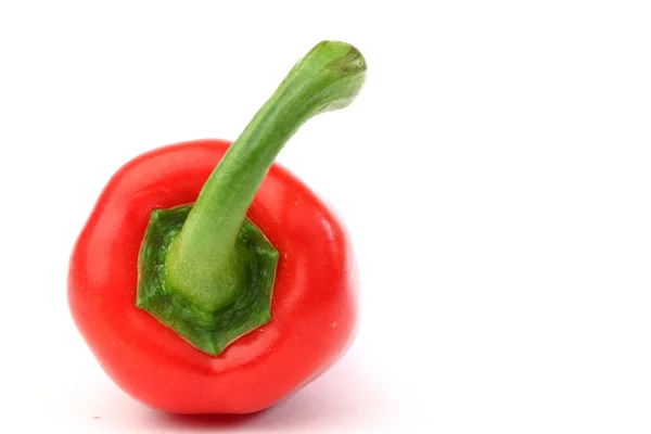 Chili pepper — Stock Photo, Image