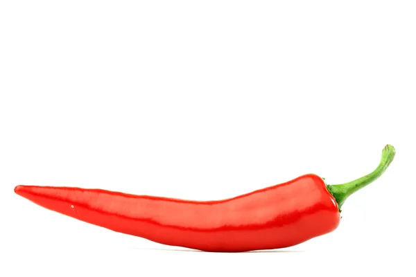 Chilipeppar — Stockfoto